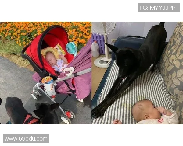 保姆在足球明星家中生活的趣事与挑战揭秘